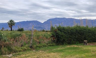 CASA QUINTA AMOBLADA. 4200 M2 DE TERRENO. POCITO