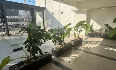 Alquiler de departamento 2 ambientes Con  balcón.