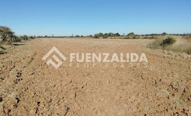 Agrícola en Venta en San Pedro Otingue/ San Gregorio