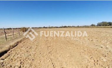 Agrícola en Venta en San Pedro Otingue/ San Gregorio