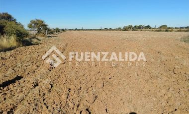 Agrícola en Venta en San Pedro Otingue/ San Gregorio