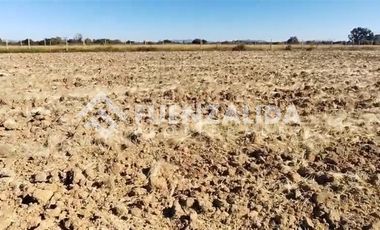 Agrícola en Venta en San Pedro Otingue/ San Gregorio