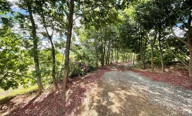 Casa en Arriendo en Pedregoso - Villa Alegre.