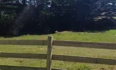 Parcela en Venta en Punta Lobos