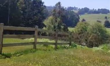 Parcela en Venta en Punta Lobos