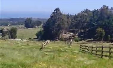Parcela en Venta en Punta Lobos