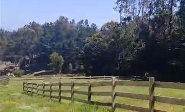 Parcela en Venta en Punta Lobos