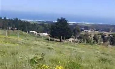 Parcela en Venta en Punta Lobos