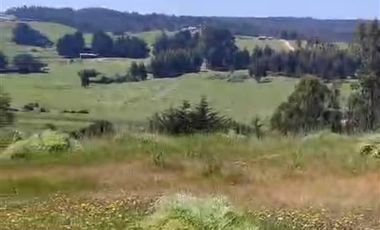 Parcela en Venta en Punta Lobos