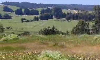 Parcela en Venta en Punta Lobos