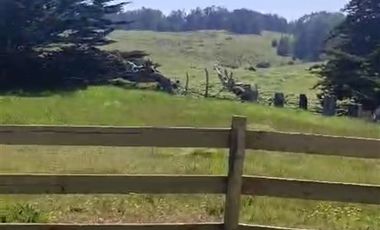 Parcela en Venta en Punta Lobos