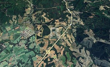 CAMPO FORESTAL DE 67 HA EN REUMÉN
