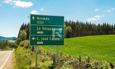 CAMPO FORESTAL DE 67 HA EN REUMÉN