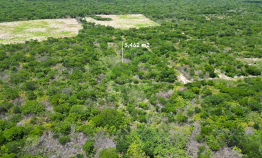 Terreno en venta en Santa Cruz - HI2404271