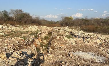 Terreno en venta en Santa Cruz - HI2404271