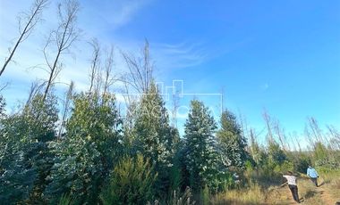 Sitio en Venta en QUILQUELT, Santa Juana