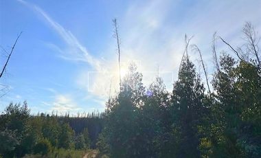 Sitio en Venta en QUILQUELT, Santa Juana