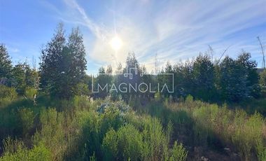 Sitio en Venta en QUILQUELT, Santa Juana