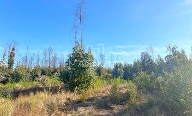 Sitio en Venta en QUILQUELT, Santa Juana