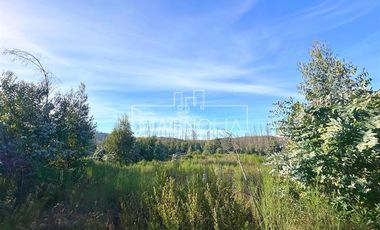 Sitio en Venta en QUILQUELT, Santa Juana