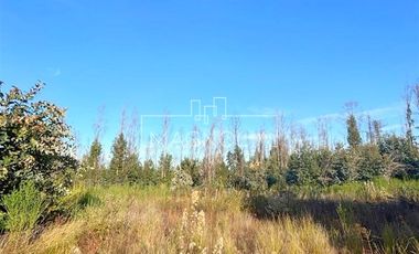 Sitio en Venta en QUILQUELT, Santa Juana
