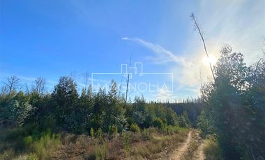 Sitio en Venta en QUILQUELT, Santa Juana