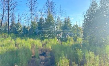 Sitio en Venta en QUILQUELT, Santa Juana