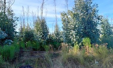Sitio en Venta en QUILQUELT, Santa Juana