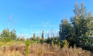 Sitio en Venta en QUILQUELT, Santa Juana
