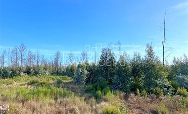 Sitio en Venta en QUILQUELT, Santa Juana