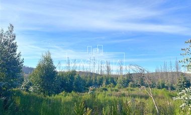 Agrícola en Venta en QUILQUELT, Santa Juana