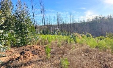 Agrícola en Venta en QUILQUELT, Santa Juana