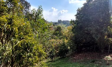 Se vende finca en vereda cascajo abajo,marinilla