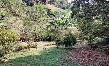 Se vende finca en vereda cascajo abajo,marinilla