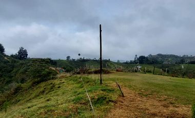 Se vende finca vereda la asuncion,marinilla