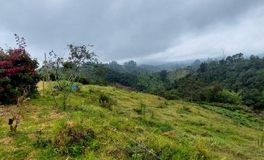 Se vende finca vereda la asuncion,marinilla