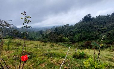 Se vende finca vereda la asuncion,marinilla