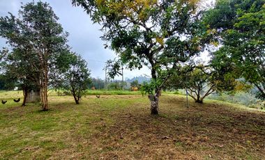 Se vende finca vereda la asuncion,marinilla