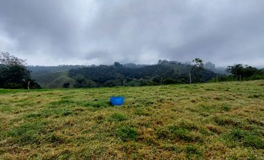 Se vende finca vereda la asuncion,marinilla