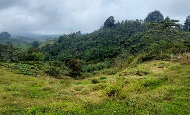 Se vende finca vereda la asuncion,marinilla