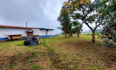 Se vende finca vereda la asuncion,marinilla