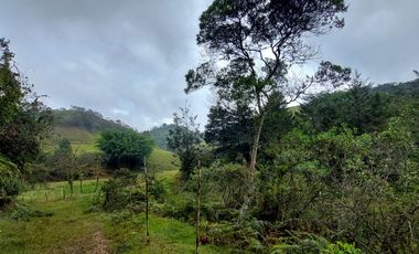 Se vende finca vereda la asuncion,marinilla