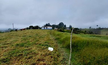 Se vende finca vereda la asuncion,marinilla