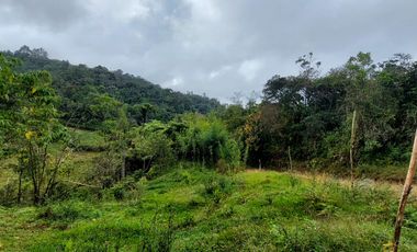 Se vende finca vereda la asuncion,marinilla