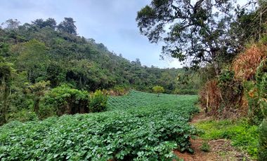 Se vende finca vereda la asuncion,marinilla