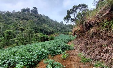 Se vende finca vereda la asuncion,marinilla