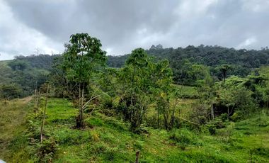 Se vende finca vereda la asuncion,marinilla