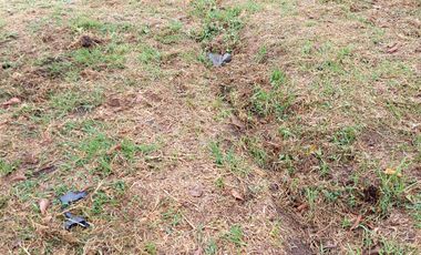 Se vende finca vereda la asuncion,marinilla