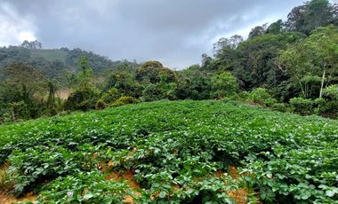 Se vende finca vereda la asuncion,marinilla
