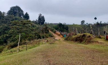 Se vende finca vereda la asuncion,marinilla